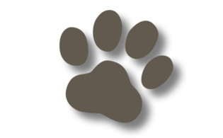 Inkless Paw Print Kit