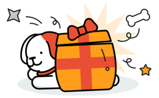 Maxi Surprise Box for Small/Medium Dogs