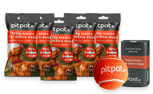 PitPat Treats Box