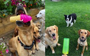 Ice Cream Freezer Toys - Double Pack