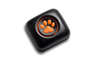 PitPat Dog Activity Monitor