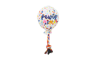 Pawty Balloon