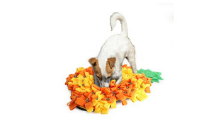 Pineapple Snuffle Mat